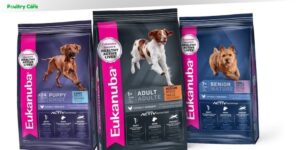 is eukanuba a good dog food