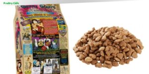 is gentle giants dog food good