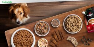 is nulo dog food being discontinued