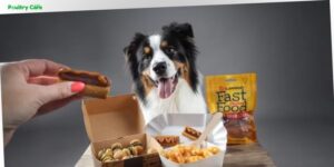 is nutra nuggets a good dog food