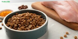 what is crude protein in dog food