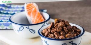 what is salmon meal in dog food