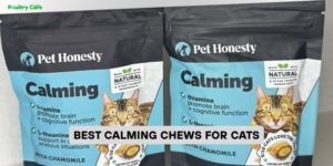 best calming chews for cats