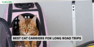 best cat carriers for long road trips