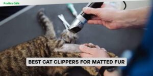best cat clippers for matted fur