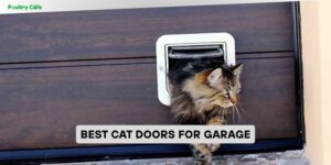 best cat doors for garage