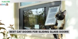 best cat doors for sliding glass doors
