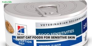 best cat foods for sensitive skin