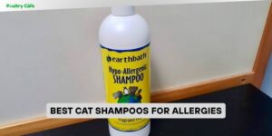 best cat shampoos for allergies