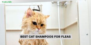 best cat shampoos for fleas