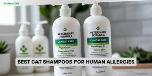 best cat shampoos for human allergies