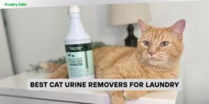best cat urine removers for laundry