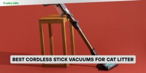 best cordless stick vacuums for cat litter