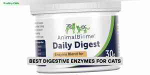 best digestive enzymes for cats