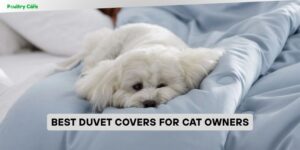 best duvet covers for cat owners