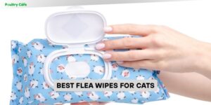 best flea wipes for cats