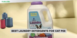 best laundry detergents for cat pee
