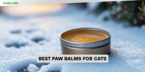 best paw balms for cats