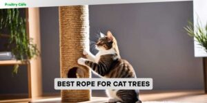 best rope for cat trees