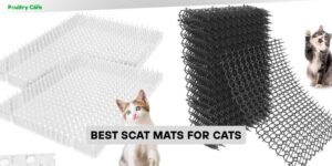 best scat mats for cats
