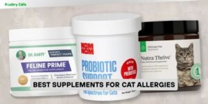 best supplements for cat allergies
