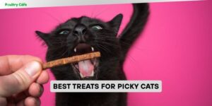 best treats for picky cats