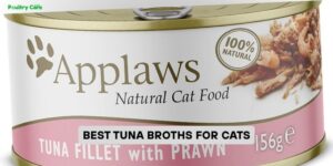best tuna broths for cats