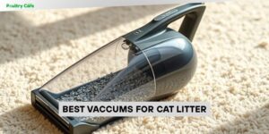 best vaccums for cat litter