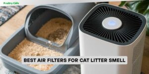 best air filters for cat litter smell