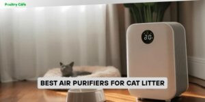 best air purifiers for cat litter