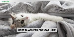 best blankets for cat hair