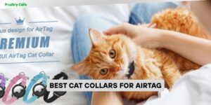 best cat collars for airtag