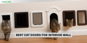 best cat doors for interior wall