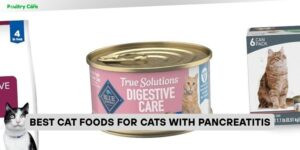 best cat foods for cats with pancreatitis
