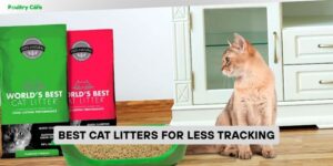 best cat litters for less tracking