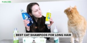 best cat shampoos for long hair