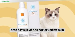 best cat shampoos for sensitive skin