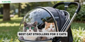 best cat strollers for 2 cats