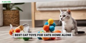 best cat toys for cats home alone