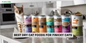 best dry cat foods for finicky cats
