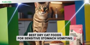 best dry cat foods for sensitive stomach vomiting