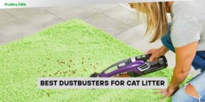 best dustbusters for cat litter