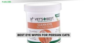 best eye wipes for persian cats