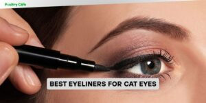 best eyeliners for cat eyes
