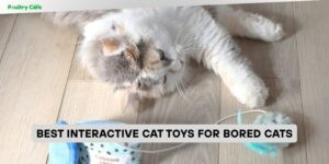 best interactive cat toys for bored cats