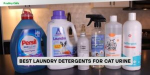 best laundry detergents for cat urine