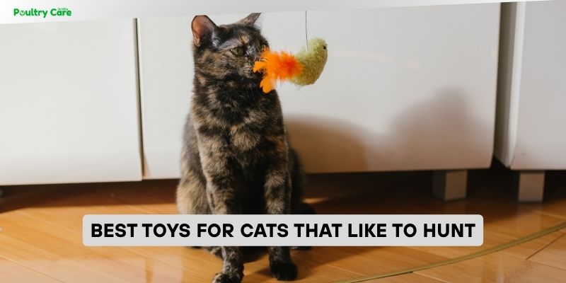 best toys for cats that like to hunt