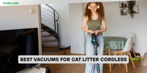 best vacuums for cat litter cordless