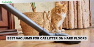 best vacuums for cat litter on hard floors