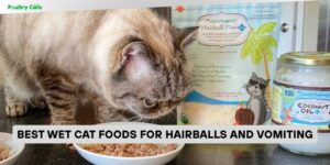 best wet cat foods for hairballs and vomiting